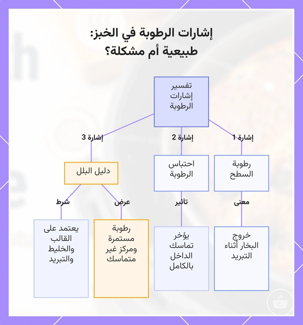إشارات الرطوبة في الخبز: طبيعية أم مشكلة؟